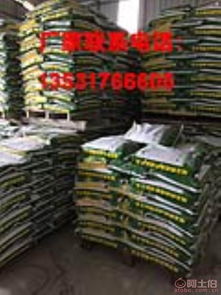 中山市五桂山耀王邦建材廠攜手阿土伯網，開啟建材熱賣促銷新篇章